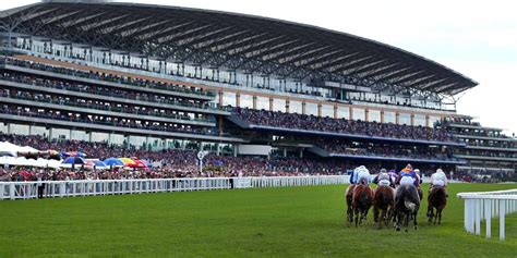 ascot horse racing betting tips - royal ascot 2024 tips